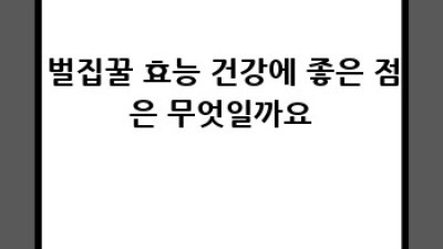 벌집꿀 효능: 건강에 달콤한 선물? 완벽 가이드!