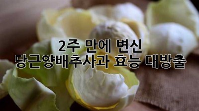 🥕🍎🥬 2주 만에 변신?! 당근양배추사과 효능 대방출!