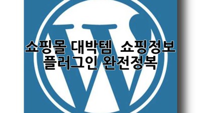 쇼핑몰 대박템! 🚀 쇼핑정보 플러그인 완전정복 🛍️